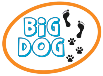 Big Dog