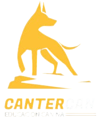 Cantercan