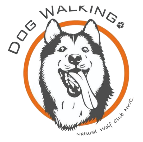 Dog Walking