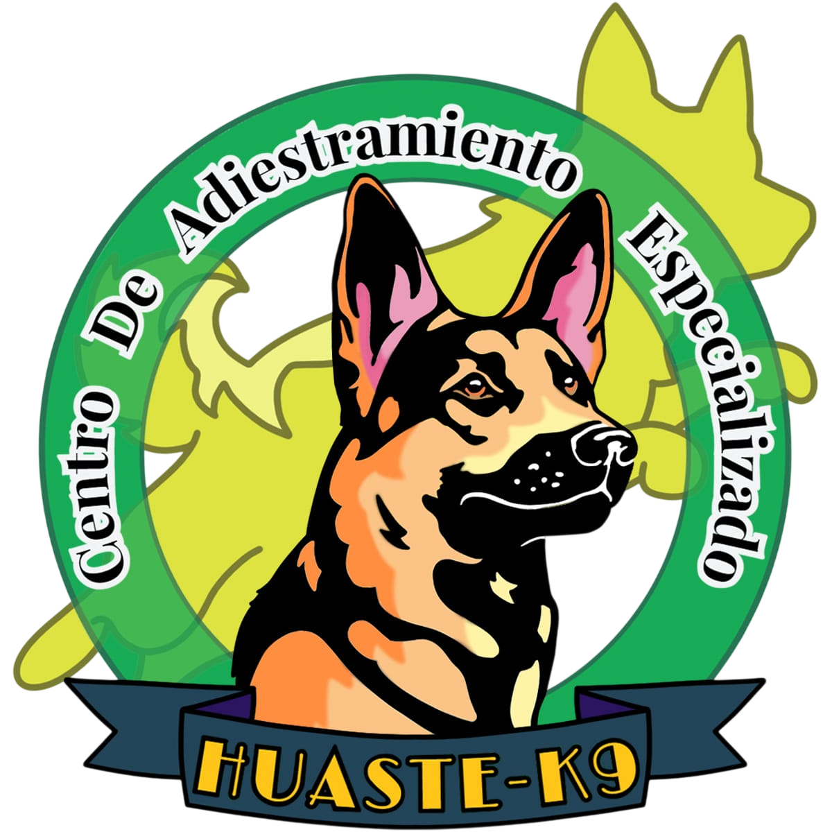 Huaste K9