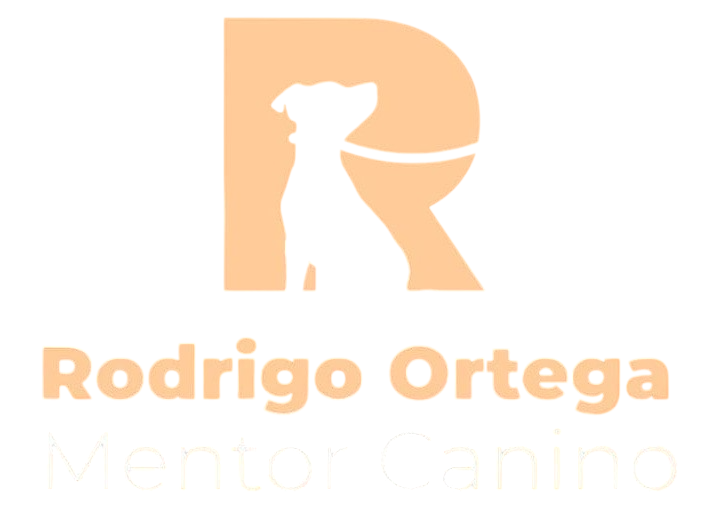 Rodrigo Ortega